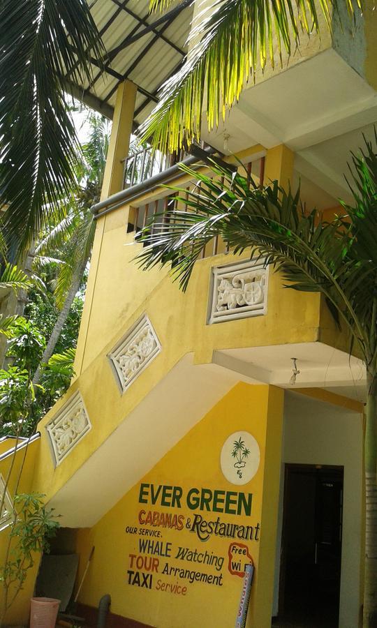 Ever Green Mirissa Rum bild